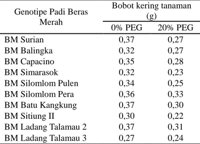 Tabel 10.  Bobot  kering  tanaman  sepuluh  genotipe  padi beras merah lokal Sumatera Barat 