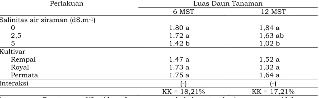 Tabel 2.   Luas Daun Tanaman Tomat (dm 2 ) Umur 6 dan 12 MST Pada Pemberian Berbagai  Salinitas Air Siraman Dan Kultivar