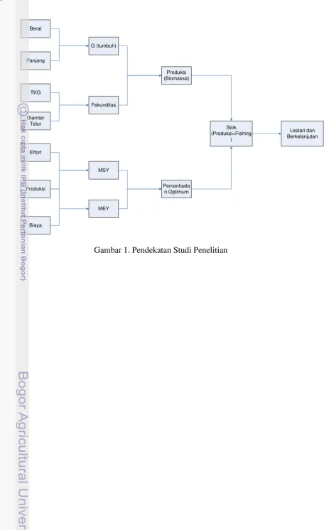 Gambar 1. Pendekatan Studi Penelitian 