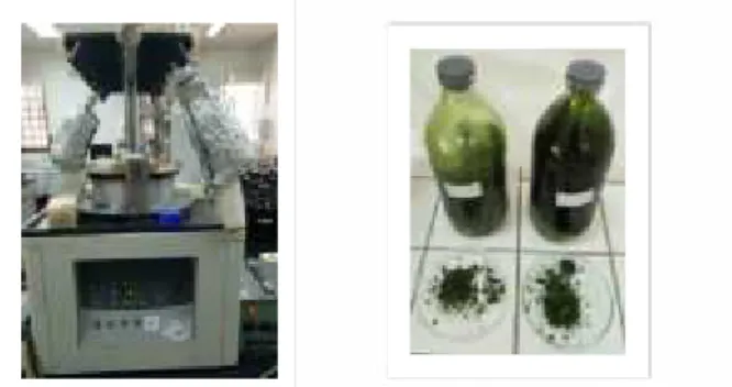 Gambar 1.  Proses  dan  hasil  freeze  drying  ekstrak Spirulina