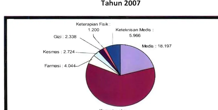Grafik 4. Jumlah Tenaga Kesehatan di Rumah Sakit Umum di Indonesia  Tahun 2007  