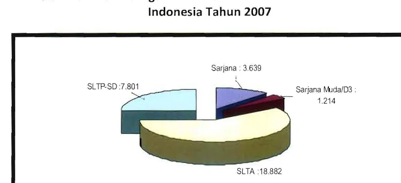 Grafik 5. Jumlah Tenaga Non Kesehatan di Rumah Sakit Umum di  Indonesia Tahun 2007  