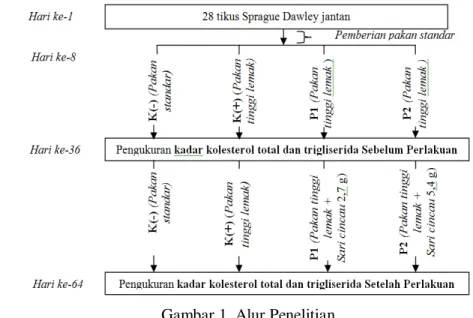 Gambar 1. Alur Penelitian 