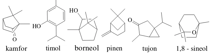 Gambar 2.9.2. Senyawa-senyawa komponen dalam minyak atsiri 