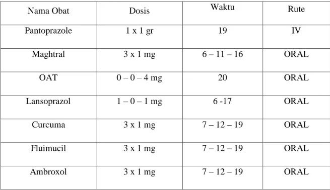 Tabel 3.3 terapi obat 