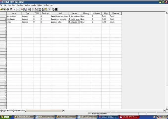 Gambar 4.4 Tampilan Data Pada Editor SPSS 