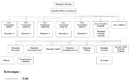 Gambar 2.2. Struktur Organisasi PT. Perkebunan Nusantara II Batang Serangan