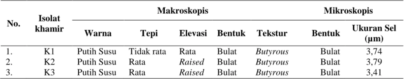 Tabel 1. Morfologi isolat khamir hasil isolasi dari buah apel (Malus domestica) 