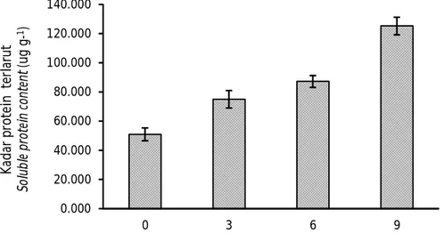 Figure 4. Soluble protein content (µg g -1 ) of cassava starch residue fermented by B