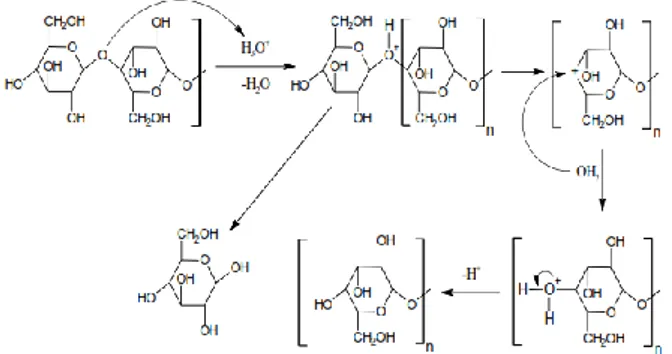 Gambar  2.  Hubungan  konsentrasi  katalis  dan  kadar  glukosa 