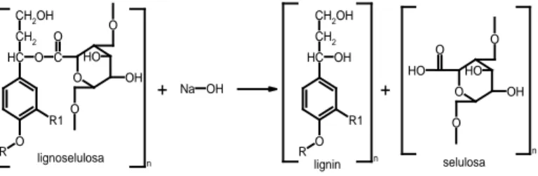 Gambar  1.  Pemutusan  ikatan  antara  lignin  dan  selulosa  oleh  NaOH  (Fengel  dan  Wegener,  1995) 