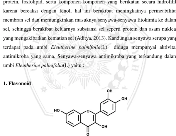 Gambar 2.3 Struktur Flavonoid 