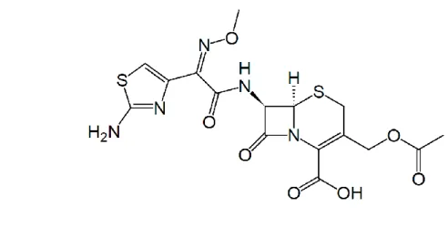Gambar 2.5 Struktur Kimia Sefatoksim ( USP) 