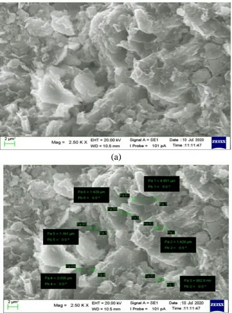 Gambar 4.6 (a) Mikrostruktur tanah lempung (b) Mikrostruktur tanah lempung  dengan ukuran diameter pori 