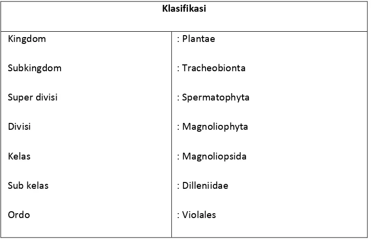 Tabel 1. Klasifikasi Buah Carica 