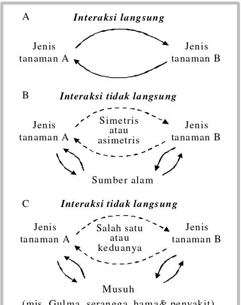 Gambar 2.  Bentuk–bentuk kompetisi antar tanaman: (A)  spesies  A secara langsung menghambatpertumbuhan spesies B atau sebaliknya, (B) interaksi tidak langsung yaitu dengan merubah lingkunganpertumbuhan, (C) interaksi tidak langsung yaitu dengan menstimulir pertumbuhan musuh (hama+penyakit)bagi tanaman