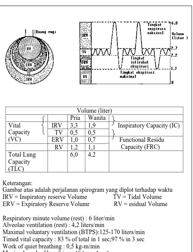 Gambar atas adalah perjalanan spirogram yang diplot terhadap waktu IRV = Inspiratory reserve Volume                 TV = Tidal Volume ERV = Expiratory Reserve Volumr                RV = esidual Volume 