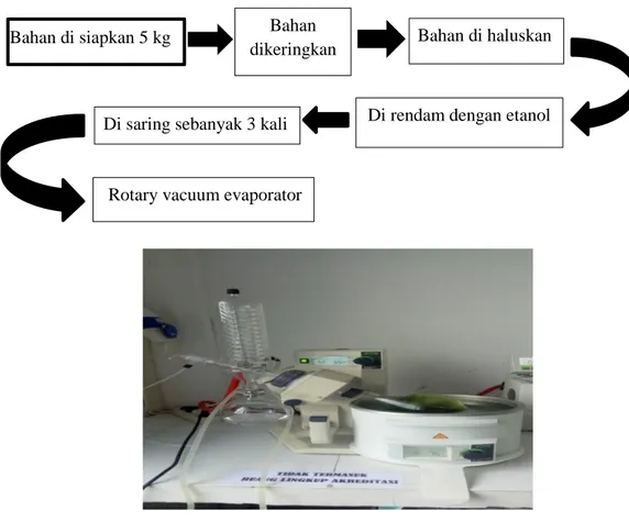Gambar 6. Alat evaporator ekstraksi bahan Bahan di siapkan 5 kg Bahan 