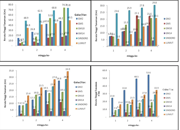 Gambar 2. Histogram pertumbuhan kedelai transgenik dan kontrol pada empat macam media tumbuh (A – D) hingga empat minggu setelah tanam