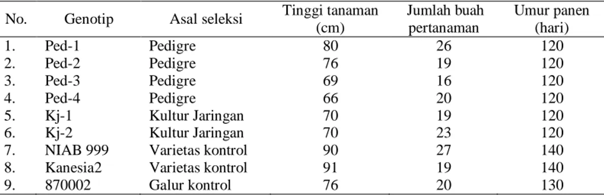Tabel 1.  Data  agronomis  pada  uji  daya  hasil  pendahuluan  beberapa  galur  mutan  kapas  hasil 