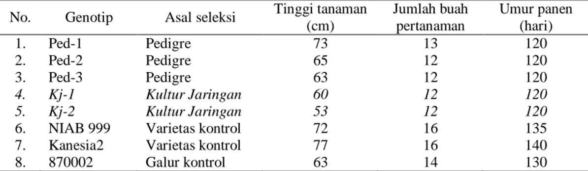 Tabel 2.  Data  agronomis  pada  uji  daya  hasil  lanjutan  beberapa  galur  mutan  kapas  hasil  iradiasi 