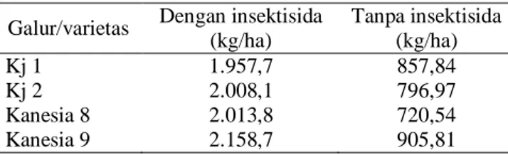 Tabel 7.  Rerata  keragaan  produktivitas  galur  mutan  Kj  1, 