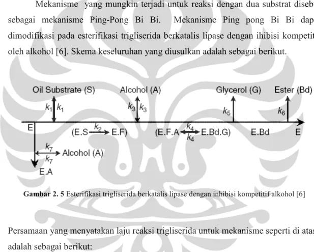 Gambar 2. 5 Esterifikasi trigliserida berkatalis lipase dengan inhibisi kompetitif alkohol [6] 