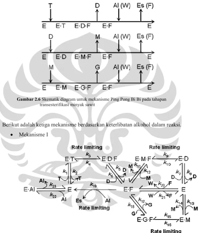 Gambar 2.6 Skematik diagram untuk mekanisme Ping Pong Bi Bi pada tahapan  transesterifikasi minyak sawit 