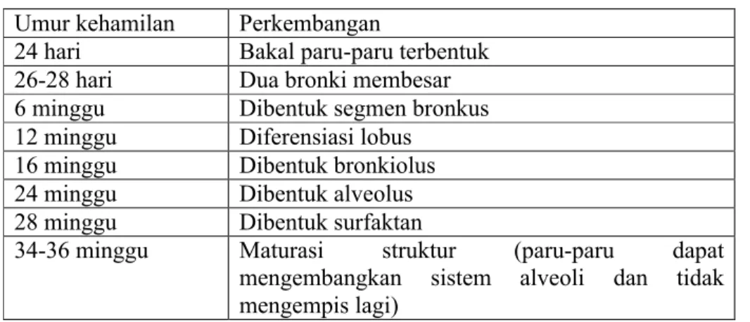 Tabel 7 Perkembangan Sistem Pulmoner Umur kehamilan Perkembangan