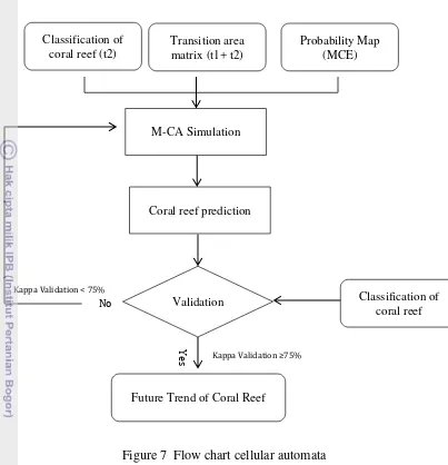 Figure 7  Flow chart cellular automata 