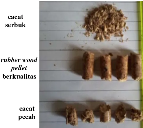 Gambar 1.2. Rubber wood pellet Berkualitas dan Cacat 