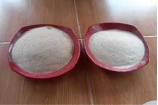 Gambar 1. Tepung onggok industri tepung tapioka (kiri) dan industri tahu (kanan)  Gambar 1 memperlihatkan bentuk tepung  onggok yang  dihasilkan