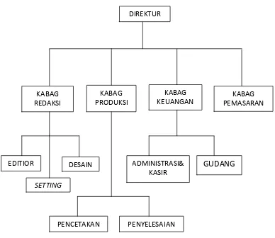 Gambar 3.1 Struktur Organisasi CV. NUSA INDAH 