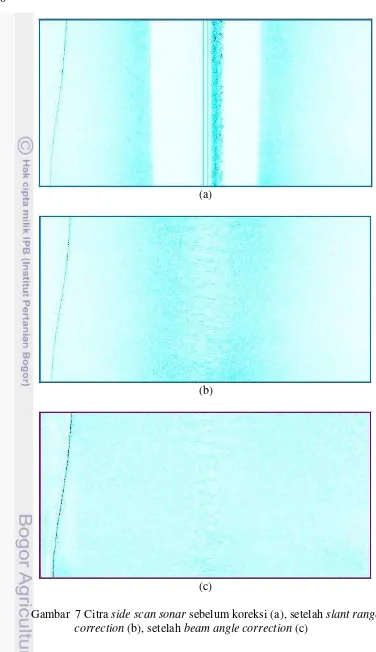 Gambar  7 Citra side scan sonar sebelum koreksi (a), setelah slant range 