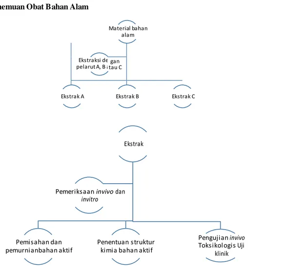 Gambar  7. Skema Penemuan Obat Bahan Alam  Contoh Tanaman Obat yang Be rkhasiat 