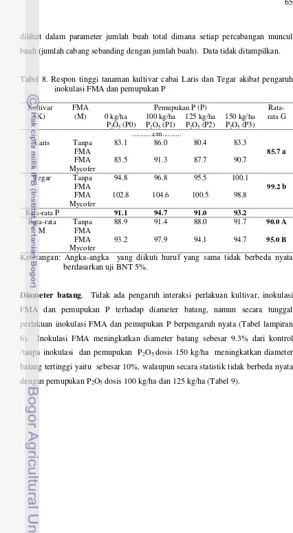 Tabel 8. Respon tinggi tanaman kultivar cabai Laris dan Tegar akibat pengaruh  