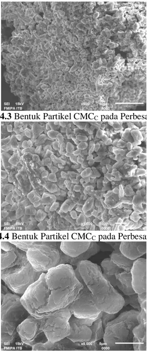 Gambar 4.3 Bentuk Partikel CMC C  pada Perbesaran 500x 