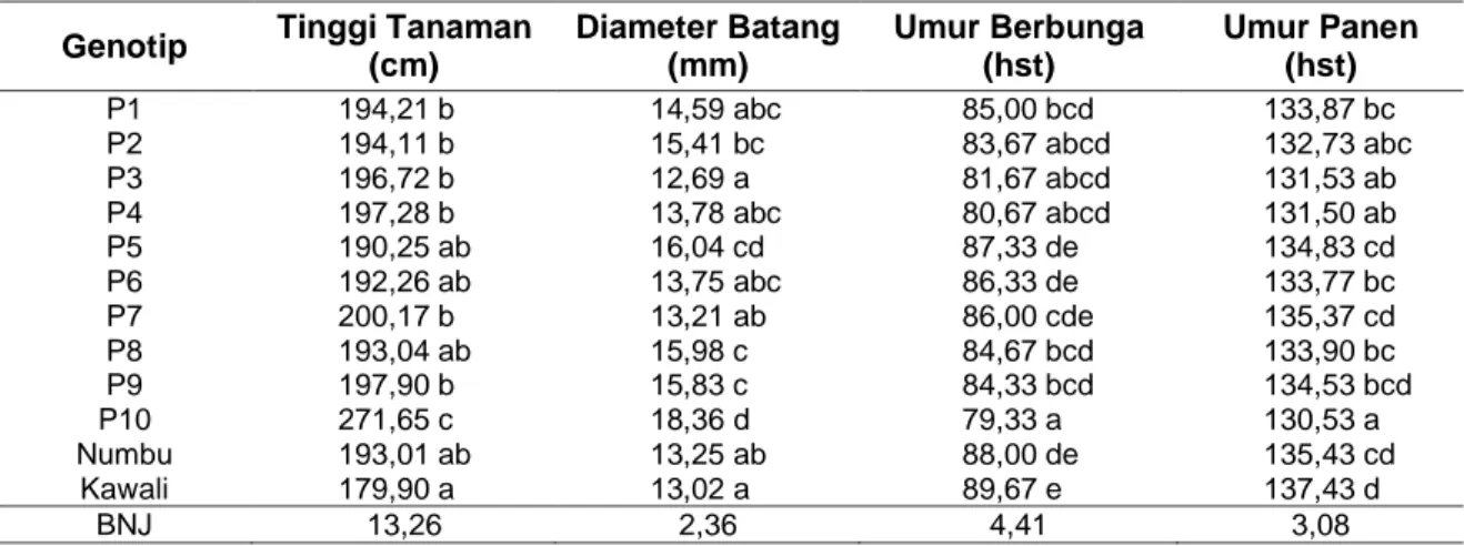 Tabel 1  Rata-rata tinggi tanaman; diameter batang; umur berbunga; dan umur panen pada  beberapa genotip yang diuji 