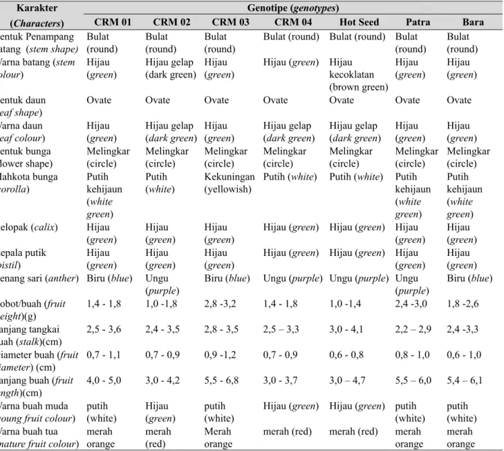 Tabel 1.  Karakter morfologi tujuh genotipe cabai rawit (Morphological characters of seven genotypes of 