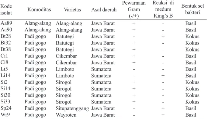 Tabel  4    Karakter  morfologi  bakteri  endofit  yang  potensial  meningkatkan    pertumbuhan  dan  kesehatan padi gogo 