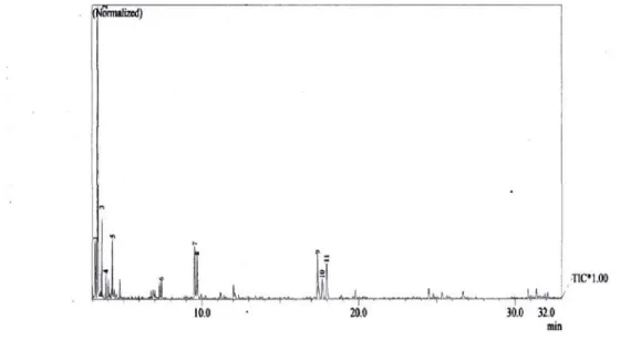 Gambar 5. Chromatogram dari bahan bakar minyak pirolisis plastik HDPE Peak % mol Nama Senyawa