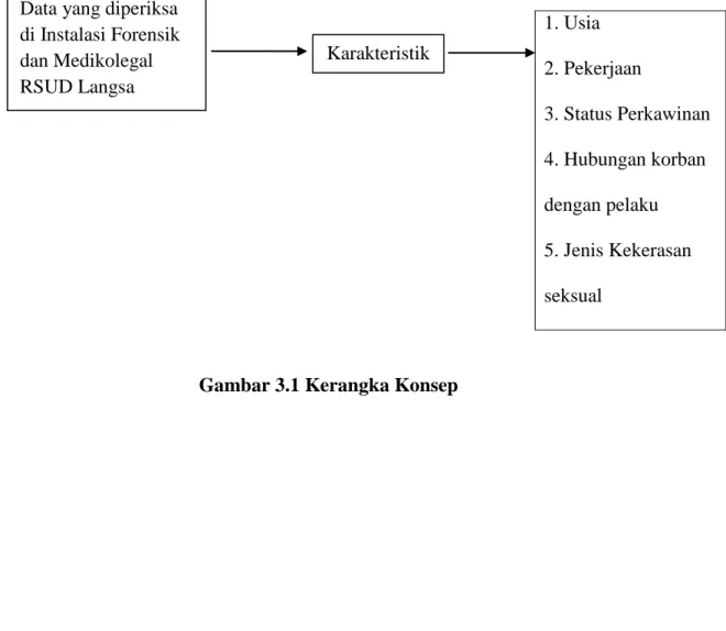 Gambar 3.1 Kerangka Konsep 
