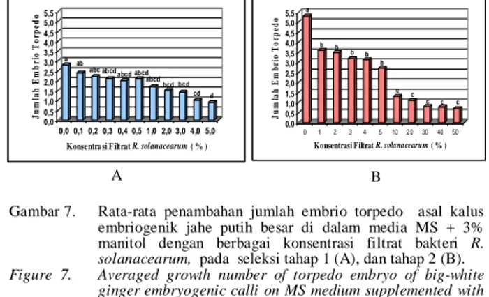 Figure 6.       Average  number  of  globular  embryo  derived   from  big-white  ginger  embryogenic  calli  on  MS  medium    supplemented  with  3%  manitol  and various concentrations of   R