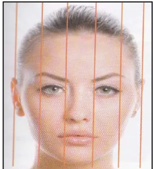 Gambar 1 menunjukkan gambaran proporsi wajah secara horizontal. 