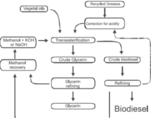 Gambar 3. Proses Produksi Biodiesel (Pinto dkk., 2005) 