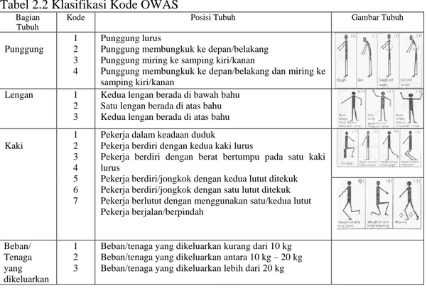 Tabel 2.2 Klasifikasi Kode OWAS 