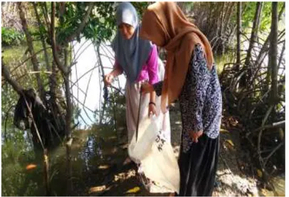 Gambar 3.3 : Mencari bahan baku berupa limbah batang  mangrove jenis Rhizophora 