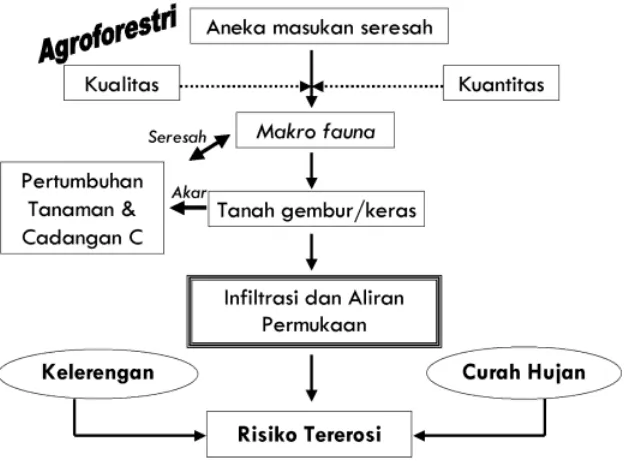 Gambar 5. Hubungan skematis dari beberapa proses yang terlibat dalam perbaikan sifat fisik tanah oleh agroforestri