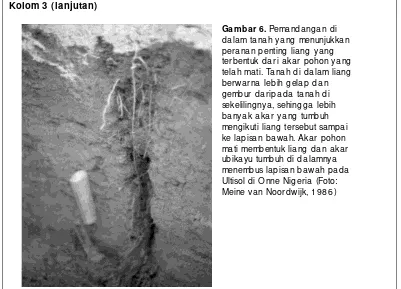 Gambar 6. Pemandangan di 