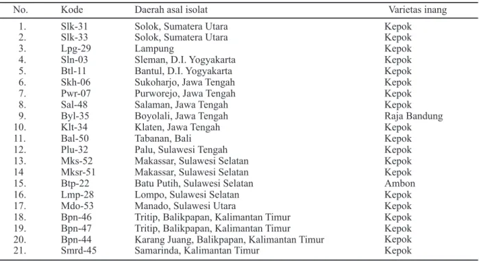 Tabel 1. Bakteri yang digunakan dalam penelitian